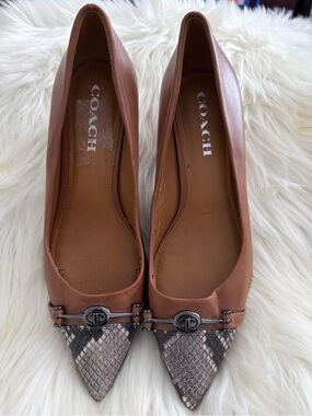 COACH Brown Leather Pointed-Toe Heels with Snakeskin Accent